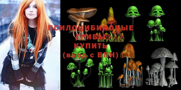 молекула духа Киренск